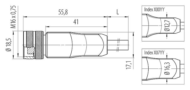 Scale drawing M16 Female cable connector, Contacts: 12, unshielded, moulded on the cable, IP67, PUR, black, 12 x 0.25 mm², 2 m