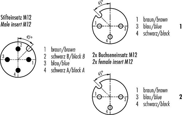 Disposition des contacts (Côté plug-in) M12 Répartiteur de câbles connecteur mâle - 2 connecteurs femelle, Contacts: 4/3, non blindé, surmoulé sur le câble, IP68, UL 2238, PUR, noir, 3 x 0,34 mm², 2 m