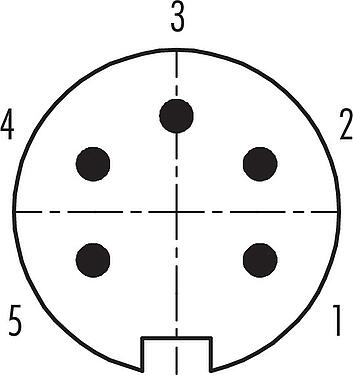 Disposición de los contactos (lado de la conexión) Push Pull Enchufe de brida, Número de contactos: 5, sin blindaje, soldadura, IP40, M21x1,0, Montaje frontal