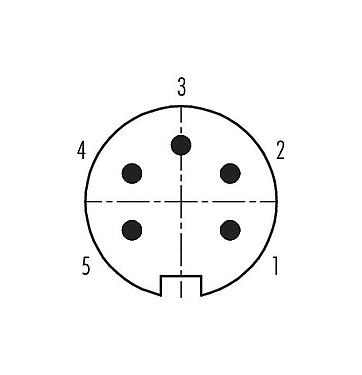 Disposición de los contactos (lado de la conexión) 99 4813 00 05 - Push Pull Conector de cable macho, Número de contactos: 5, 4,0-8,0 mm, blindable, soldadura, IP67