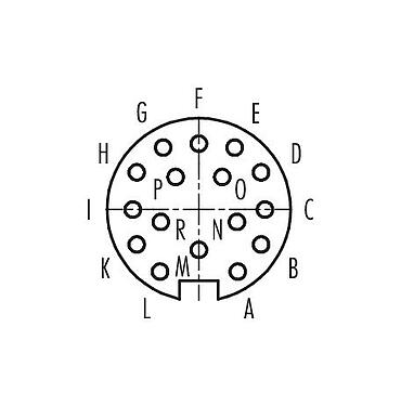 Disposición de los contactos (lado de la conexión) 99 0658 00 16 - Bayoneta Conector de cable hembra, Número de contactos: 16, 3,0-6,0 mm, sin blindaje, soldadura, IP40