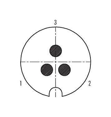 Contact arrangement (Plug-in side) M25 Male panel mount connector, Contacts: 3, shieldable, solder, IP40, Front mounting