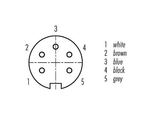 Disposition des contacts (Côté plug-in) 79 6214 200 05 - M16 Connecteur femelle coudé, Contacts: 5 (05-a), non blindé, surmoulé sur le câble, IP67, PUR, noir, 5 x 0,25 mm², 2 m