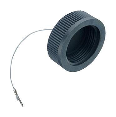 Illustration 08 0427 000 000 - RD30 - Protection cap for flange plug; Series 694