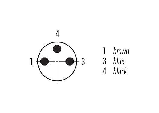 Disposition des contacts (Côté plug-in) M8 Connecteur mâle, Contacts: 3, non blindé, surmoulé sur le câble, IP67/IP69K, UL 2238, PUR, noir, 3 x 0,34 mm², 5 m