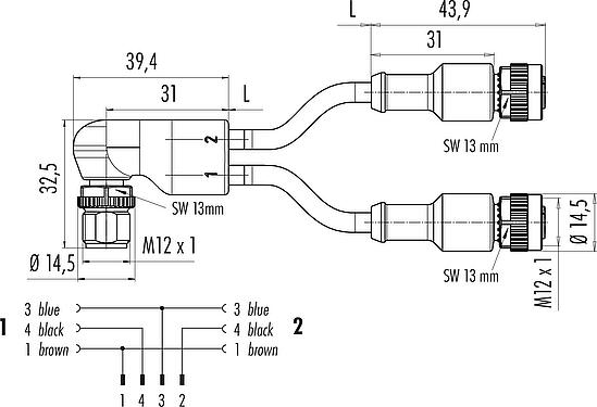Scale drawing M12 Male angled cable splitter- 2 female cable connectors, Contacts: 4/3, unshielded, moulded on the cable, IP67, UL 2238, PUR, black, 3 x 0.34 mm², 2 m