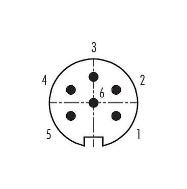 Disposition des contacts (Côté plug-in) 99 0617 70 06 - Baïonnette Connecteur mâle coudé, Contacts: 6, 4,0-6,0 mm, non blindé, souder, IP40