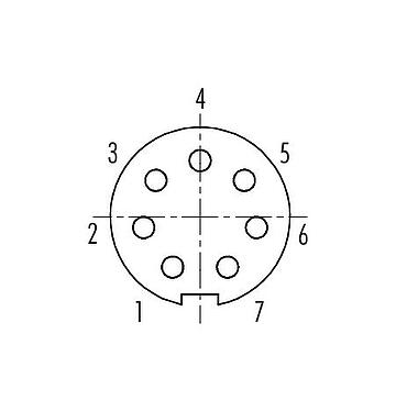 Disposition des contacts (Côté plug-in) 99 4926 00 07 - Push Pull Connecteur femelle, Contacts: 7, 3,5-5,0 mm, blindable, souder, IP67