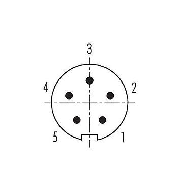 Contact arrangement (Plug-in side) M9 Male cable connector, Contacts: 5, 3.5-5.0 mm, unshielded, solder, IP67