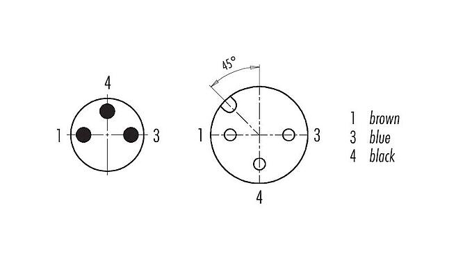 Disposition des contacts (Côté plug-in) 77 3430 3405 50003-0500 - M12 Connecteur mâle - connecteur femelle M8x1, Contacts: 3, non blindé, surmoulé sur le câble, IP67, UL, PUR, noir, 3 x 0,34 mm², 5 m