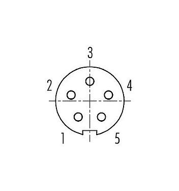 Disposition des contacts (Côté plug-in) Baïonnette Embase femelle, Contacts: 5, non blindé, souder, IP40, M10x0,75, Montage frontal