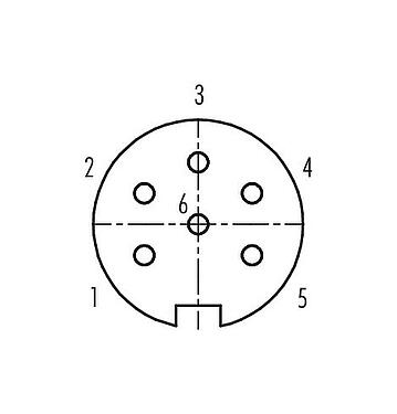 Contact arrangement (Plug-in side) Push Pull Female panel mount connector, Contacts: 6, unshielded, solder, IP67, M21x1,0, Rear mounting