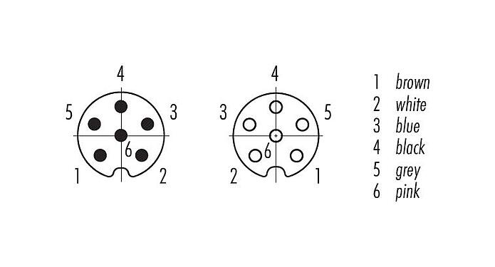 Disposition des contacts (Côté plug-in) 77 3408 3405 50006-0030 - M8/M8 Câble de raccordement connecteur mâle - connecteur femelle coudé, Contacts: 6, non blindé, surmoulé sur le câble, IP67, UL, PUR, noir, 6 x 0,25 mm², 0,3 m