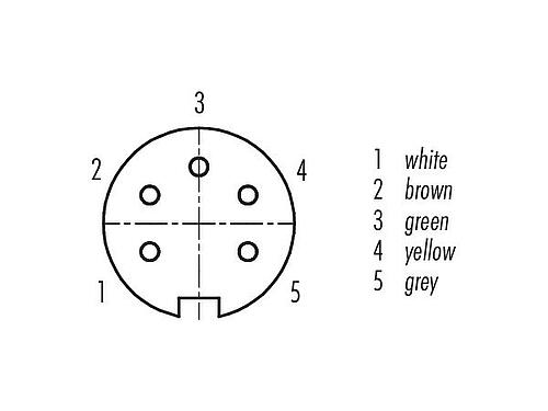 Contact arrangement (Plug-in side) M16 Female panel mount connector, Contacts: 5 (05-a), unshielded, single wires, IP67, UL 2238, M18x0,75, Rear mounting