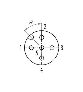 Disposition des contacts (Côté plug-in) 99 0436 287 05 - M12 Duo-connecteur femelle, Contacts: 5, 2 x câble Ø 2,1-3,0 mm ou Ø 4,0-5,0 mm, non blindé, pince à visser, IP67, UL
