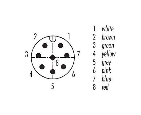Contact arrangement (Plug-in side) M12 Square male panel mount connector, Contacts: 8, unshielded, single wires, IP40, UL 2238, M3 (4x), Front mounting, potted