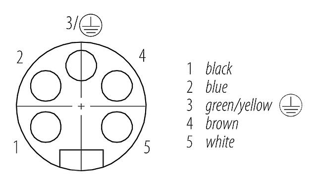Disposition des contacts (Côté plug-in) 7/8" Embase femelle, Contacts: 4+PE, non blindé, fils, IP68, UL 2238, VDE, PG 11, Montage frontal, coulé