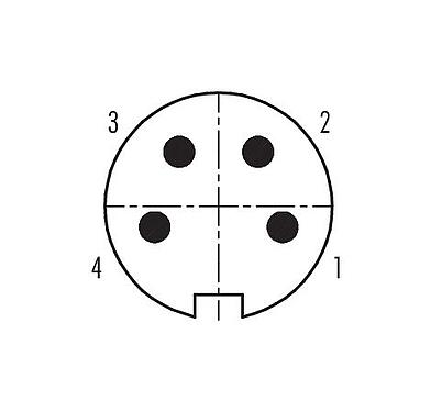 Disposition des contacts (Côté plug-in) 99 4809 00 04 - Push Pull Connecteur mâle, Contacts: 4, 4,0-8,0 mm, blindable, souder, IP67