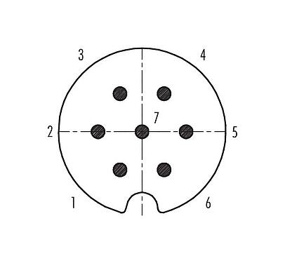 Disposition des contacts (Côté plug-in) 09 0063 00 07 - Baïonnette Connecteur mâle, Contacts: 7, 5,0-8,0 mm, blindable, souder, IP40