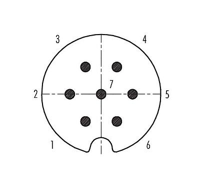 Disposition des contacts (Côté plug-in) Baïonnette Connecteur mâle, Contacts: 7, 5,0-8,0 mm, blindable, souder, IP40