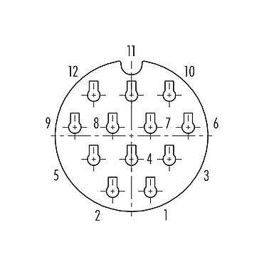 Disposition des contacts (Côté plug-in) 99 6518 100 12 - Baïonnette Connecteur femelle, Contacts: 12, 7,0-13,0 mm, non blindé, sertir (Les contacts à sertir doivent être commandés séparément), IP68/IP69K, UL, VDE