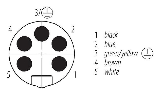 Disposition des contacts (Côté plug-in) 7/8" Embase mâle, Contacts: 4+PE, non blindé, fils, IP68, UL 2238, VDE, PG 11, Montage frontal, coulé