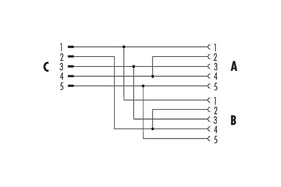 Schémas d’affectation des broches M12 Répartiteur double, Y-distributeur, mâle - 2 femelle, Contacts: 5, non blindé, enfichable, IP68, UL 2238
