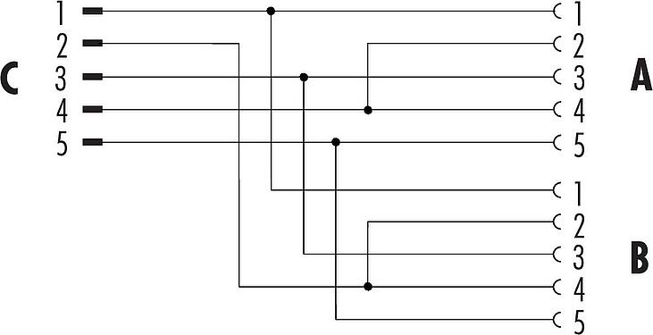 Schémas d’affectation des broches M12 Répartiteur double, Y-distributeur, mâle - 2 femelle, Contacts: 5, non blindé, enfichable, IP68, UL 2238