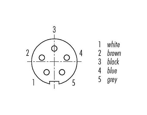 Contact arrangement (Plug-in side) M9 Female angled connector, Contacts: 5, shielded, moulded on the cable, IP67, PUR, black, 5 x 0.25 mm², 2 m
