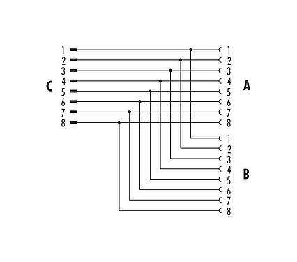 Schémas d’affectation des broches M12 Répartiteur double, Y-distributeur, mâle - 2 femelle, Contacts: 8, non blindé, enfichable, IP68, UL 2238