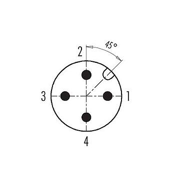 Disposition des contacts (Côté plug-in) 99 0429 186 04 - M12 Duo-connecteur mâle, Contacts: 4, 2 x câble Ø 2,1-3,0 mm ou Ø 4,0-5,0 mm, non blindé, pince à visser, IP67, UL