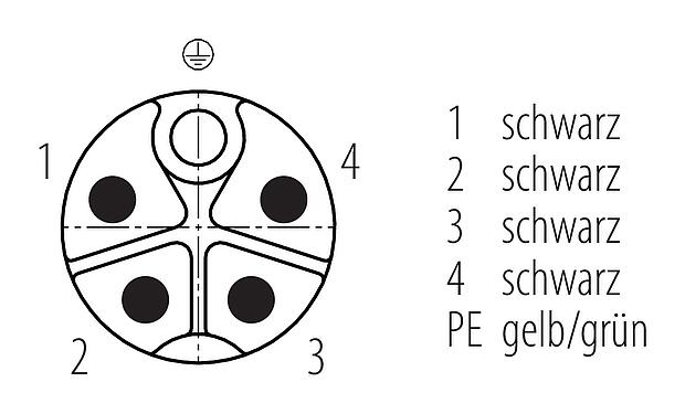 Disposition des contacts (Côté plug-in) M12 Embase mâle, Contacts: 4+PE, non blindé, fils, IP68, M16x1,5, Montage frontal, UL 2237 en préparation