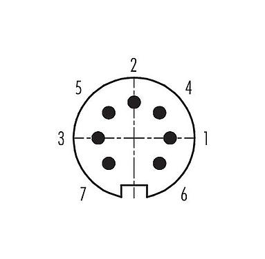 Disposición de los contactos (lado de la conexión) 99 5681 75 07 - M16 Conector macho en ángulo, Número de contactos: 7 (07-b), 6,0-8,0 mm, blindable, soldadura, IP67, UL