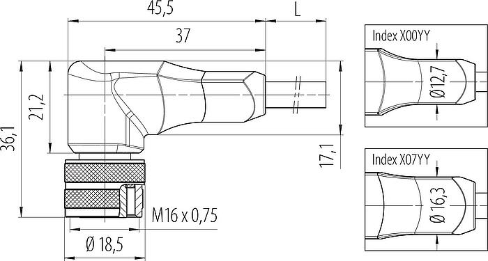 Scale drawing M16 Female angled connector, Contacts: 7 (07-a), unshielded, moulded on the cable, IP67, PUR, black, 7 x 0.25 mm², 2 m