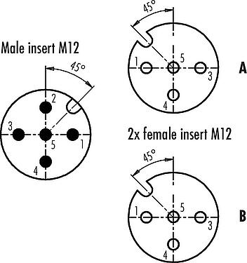 Disposition des contacts (Côté plug-in) M12 Répartiteur double, Y-distributeur, mâle - 2 femelle, Contacts: 5/4, non blindé, enfichable, IP68, UL 2238
