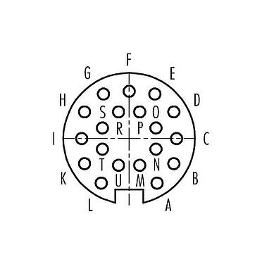Disposición de los contactos (lado de la conexión) Push Pull Conector de cable hembra, Número de contactos: 19, 4,0-8,0 mm, blindable, soldadura, IP67
