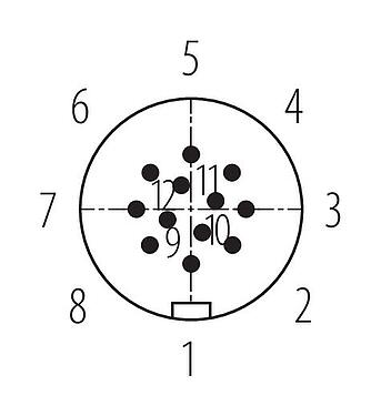 Disposición de los contactos (lado de la conexión) Snap-In Conector de cable macho, Número de contactos: 12, 6,0-8,0 mm, sin blindaje, soldadura, IP67, UL 2238, VDE