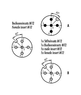 Disposición de los contactos (lado de la conexión) 79 5212 00 05 - M12 Distribuidor doble, distribuidor de Y, macho M12x1 - 2 tomas M12x1, Número de contactos: 5, sin blindaje, enchufable, IP68, UL