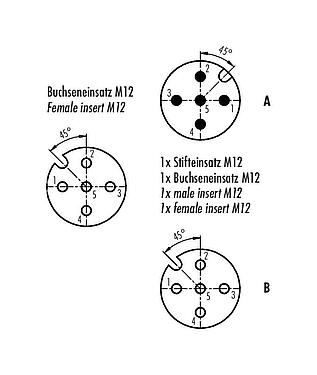 Contact arrangement (Plug-in side) M12 Twin distributors, T-distributor, male connector - 2 female connector, Contacts: 5, unshielded, pluggable, IP68, UL 2238