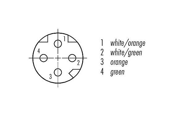 Disposición de los contactos (lado de la conexión) M8 Conector de cable hembra, Número de contactos: 4, blindado, moldeado en el cable, IP67, UL, Ethernet CAT5e, TPE, azul/verde, 2 x 2 x AWG 24, 1 m