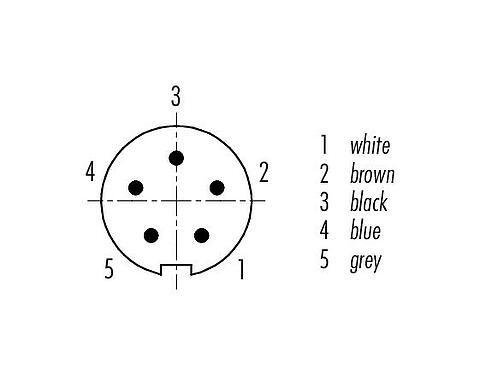 Disposition des contacts (Côté plug-in) M9 Connecteur mâle, Contacts: 5, blindé, surmoulé sur le câble, IP67, PUR, noir, 5 x 0,25 mm², 5 m