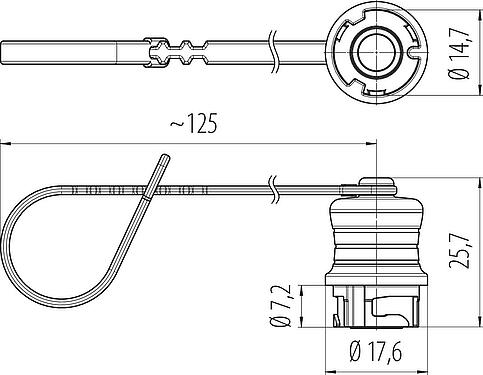 Scale drawing Protecting cap, IP67 plugged and locked, with retaining strap