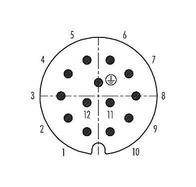 Disposition des contacts (Côté plug-in) RD30 Connecteur mâle, Contacts: 12+PE, 14,0-18,0 mm, non blindé, souder, IP65