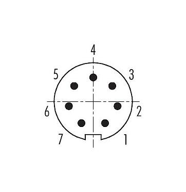 Disposition des contacts (Côté plug-in) 99 0421 10 07 - M9 Connecteur mâle, Contacts: 7, 3,5-5,0 mm, blindable, souder, IP67
