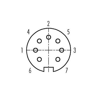 Disposición de los contactos (lado de la conexión) 99 0682 00 07 - Bayoneta Conector de cable hembra, Número de contactos: 7, 3,0-6,0 mm, sin blindaje, soldadura, IP40