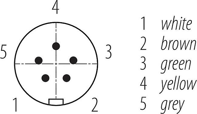 Disposición de los contactos (lado de la conexión) Snap-In Conector de cable macho, Número de contactos: 5, sin blindaje, moldeado en el cable, IP67, UL 2238, PUR, negro, 5 x 0,75 mm², 2 m