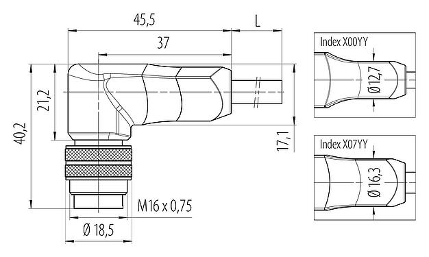 Dibujo a escala 77 6427 0000 50712-0200 - M16 Conector macho en ángulo, Número de contactos: 12, sin blindaje, moldeado en el cable, IP68, PUR, negro, 12 x 0,25 mm², 2 m