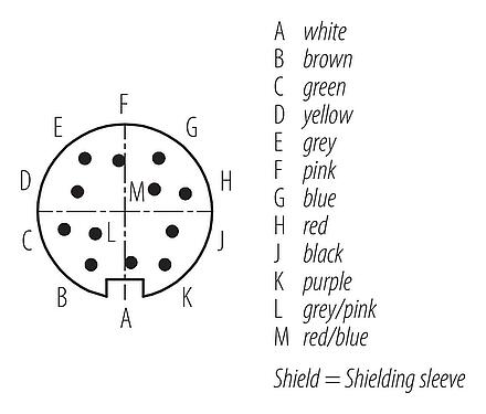 Disposition des contacts (Côté plug-in) M16 Connecteur mâle, Contacts: 12, blindé, surmoulé sur le câble, IP67, PUR, noir, 12 x 0,25 mm², 2 m