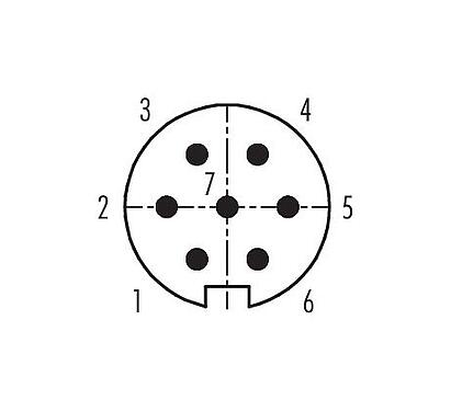 Disposición de los contactos (lado de la conexión) 99 0145 12 07 - M16 Conector macho en ángulo, Número de contactos: 7 (07-a), 6,0-8,0 mm, blindable, soldadura, IP40
