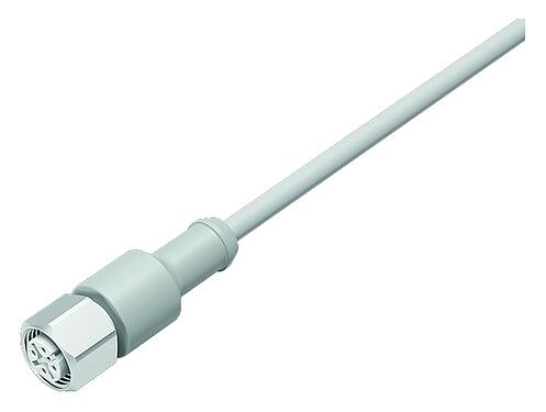 Illustration M12 Connecteur femelle, Contacts: 8, non blindé, surmoulé sur le câble, IP67/IP69K, UL 2238, Ecolab, PVC, gris, 8 x 0,25 mm², Acier inoxydable, 2 m